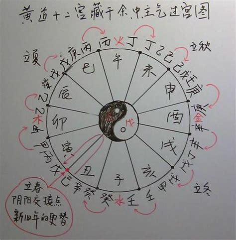 子午卯酉四正|子午卯酉 具体是什么意思？